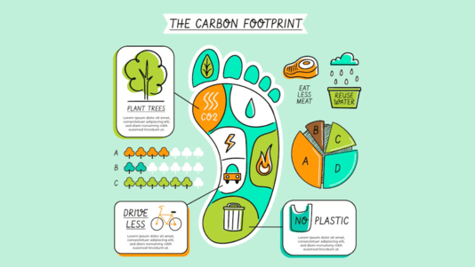 Let’s Talk About Carbon Footprints and Carbon Sequestration